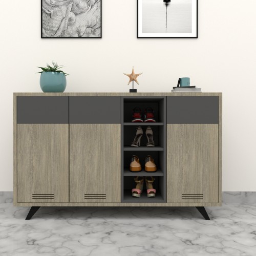 motley-dual-tone-wooden-shoe-rack-with-vented-doors